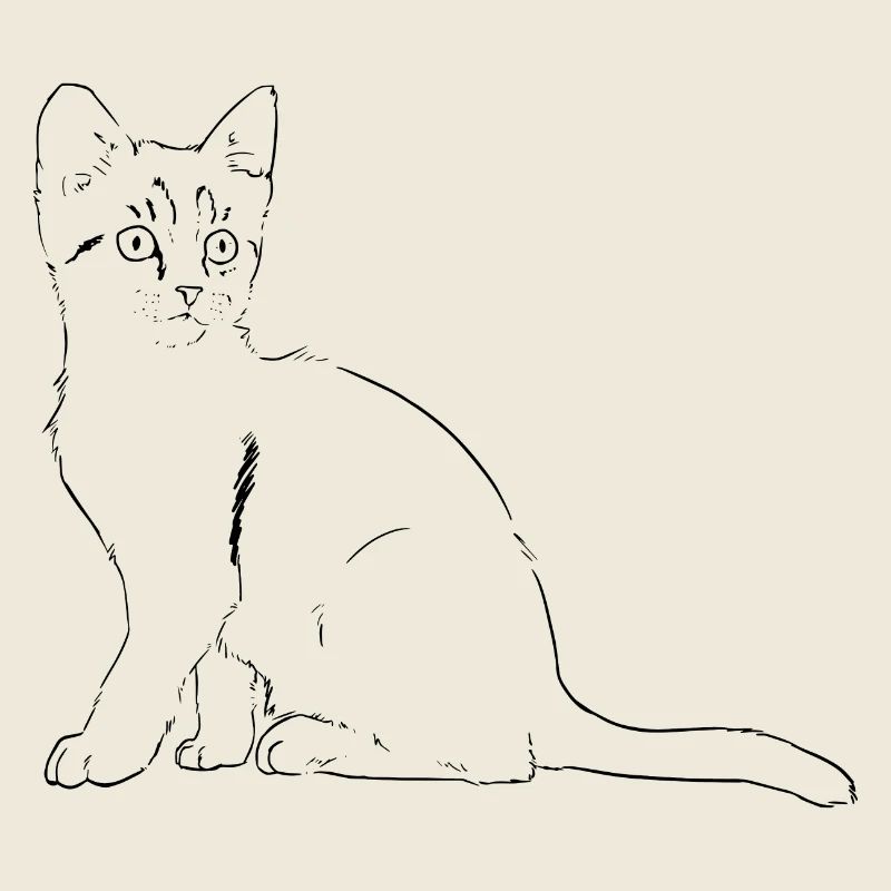chat Illustration