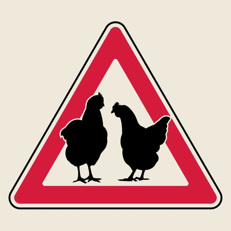Poulet du soir Poulet attention poules élevées en liberté