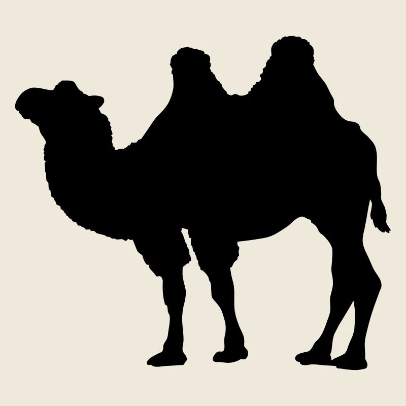 camel