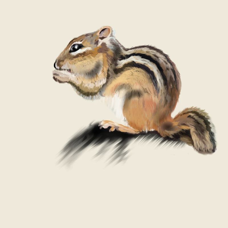 Backenhörnchen