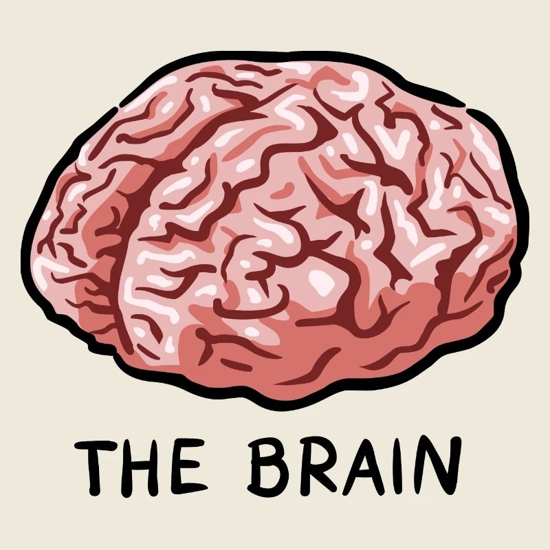 THE BRAIN