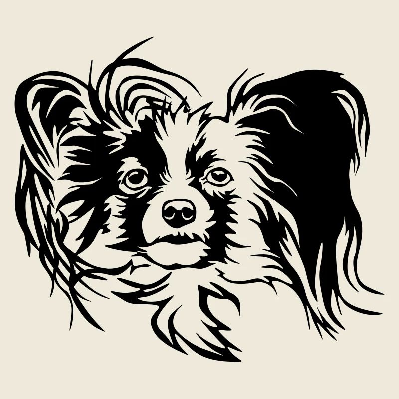 Papillon tête