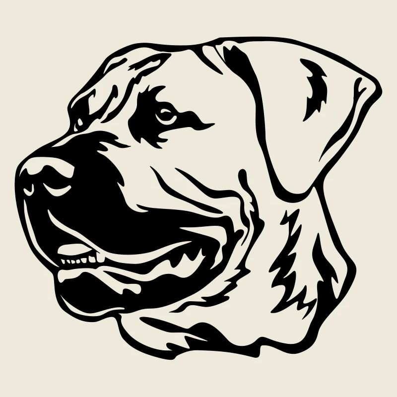 Boerboel Kopf