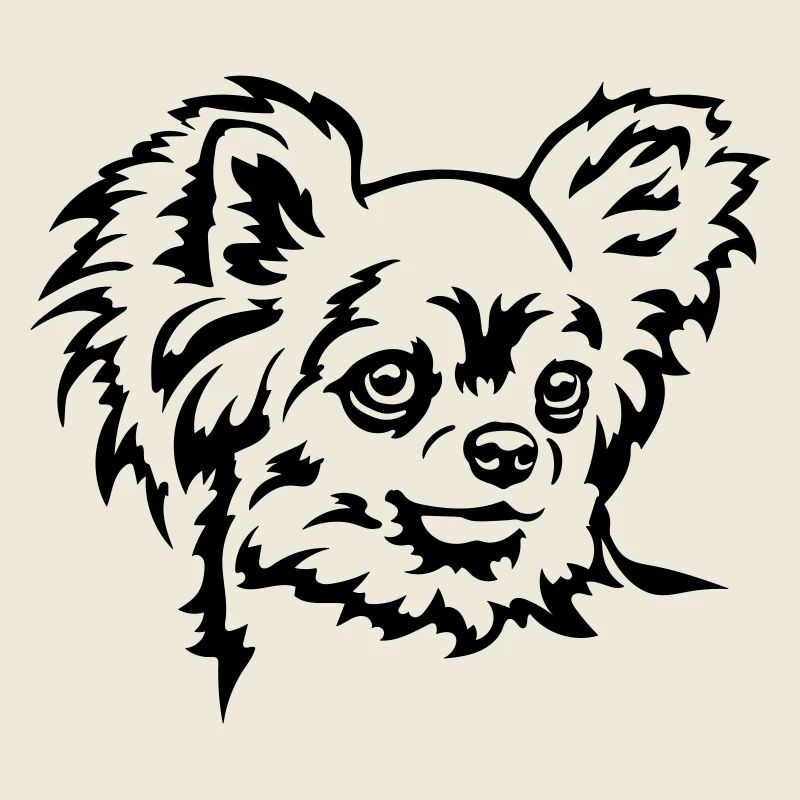 Tête de Chihuahua