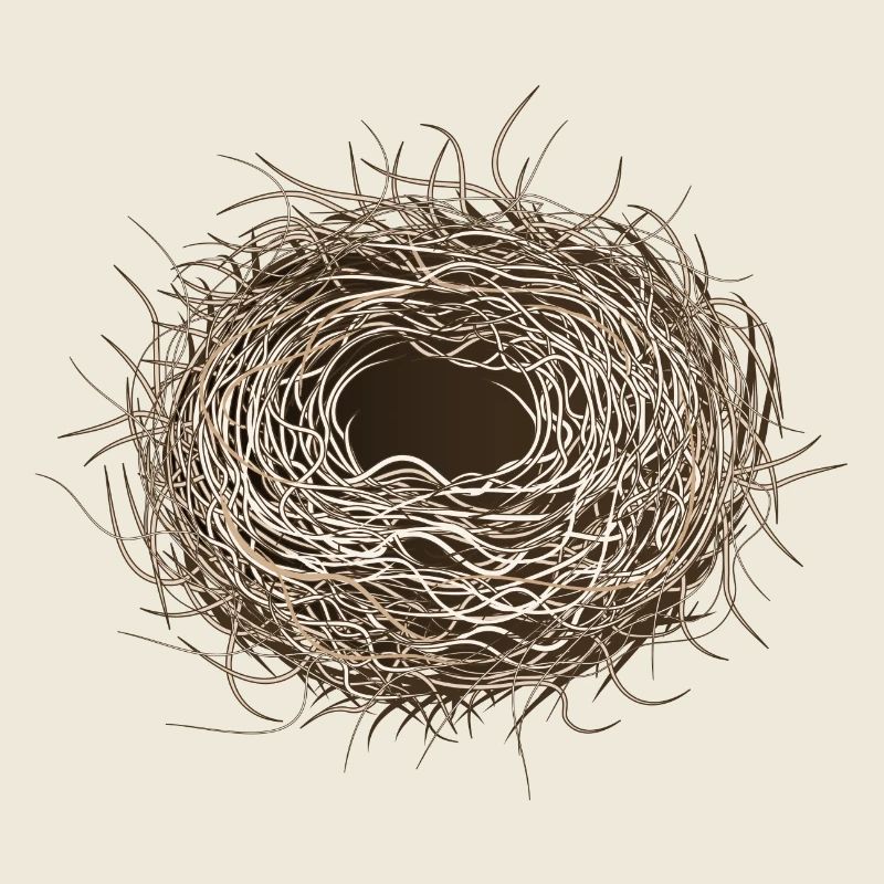 empty bird's nest or easter basket for spring
