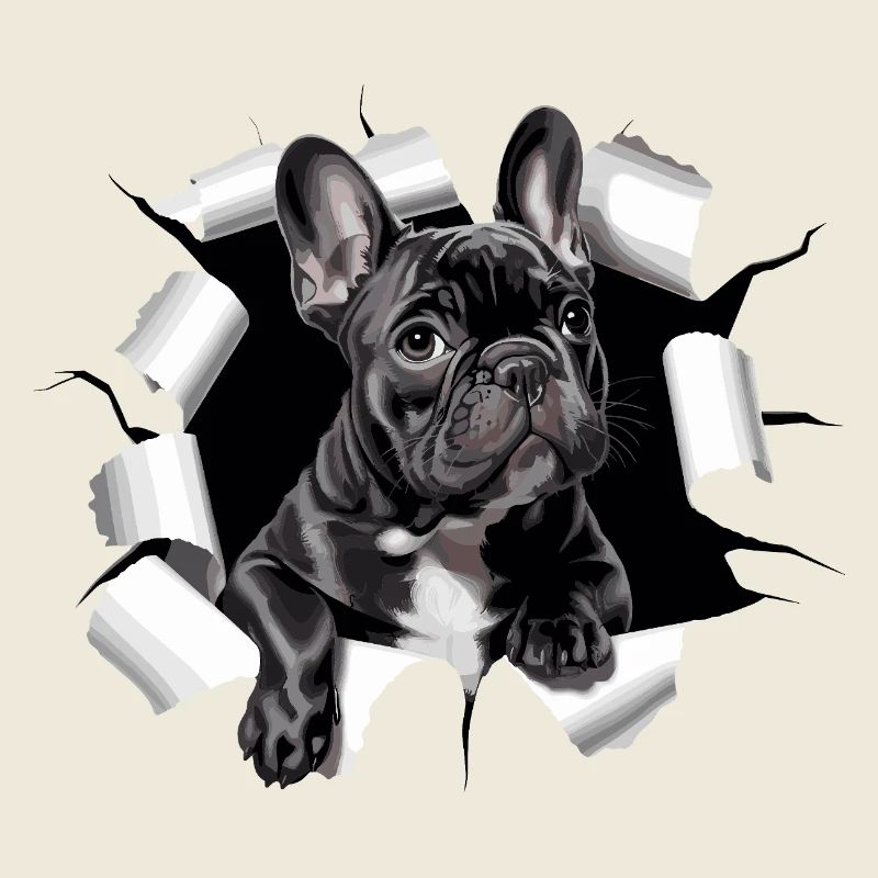 Chiot bouledogue français perce la percée