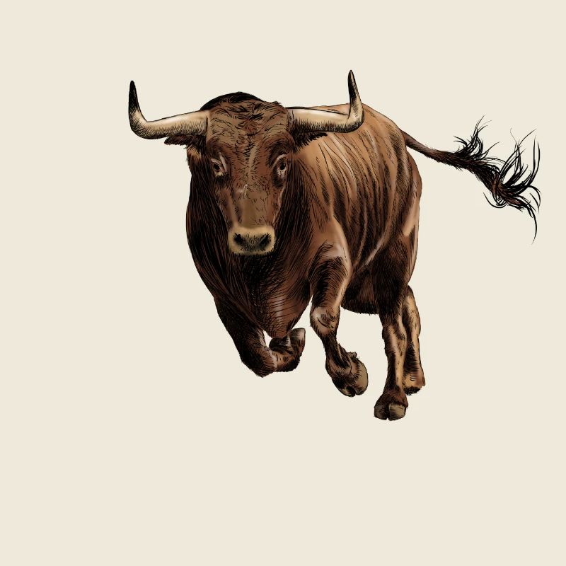 Stier