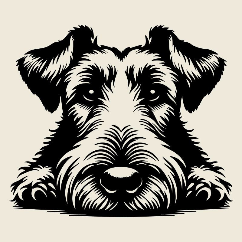 Irish Terrier Kopf mit Pfoten