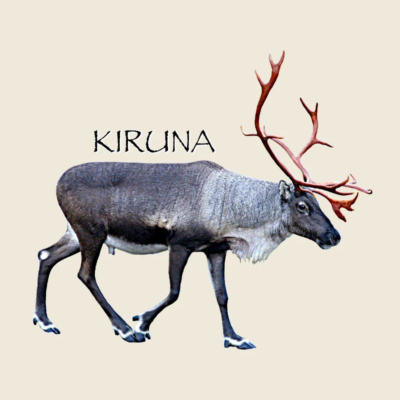 Kiruna