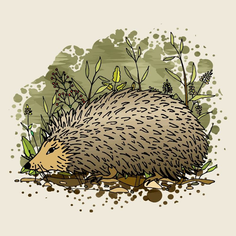 Igel