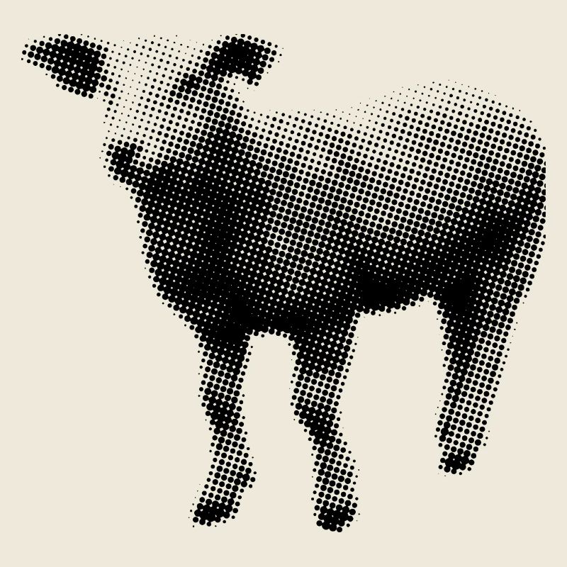 Lamm
