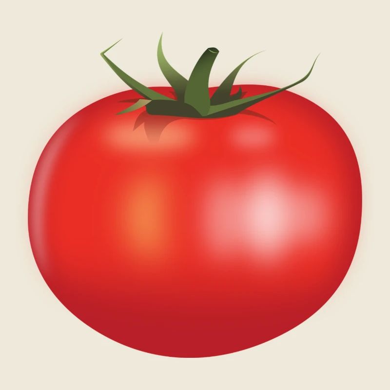 tomate