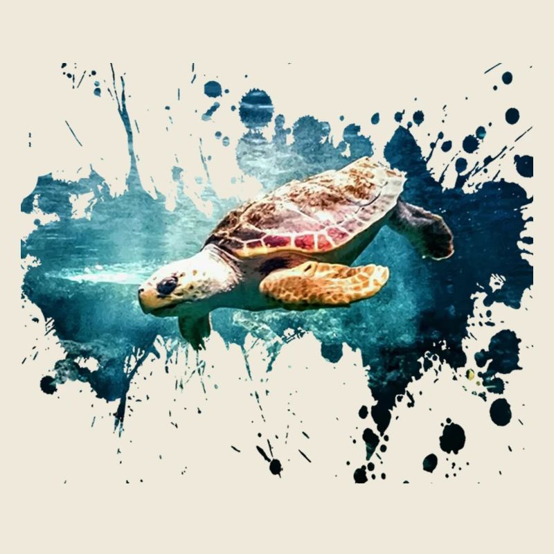Petcontest Schildkröte