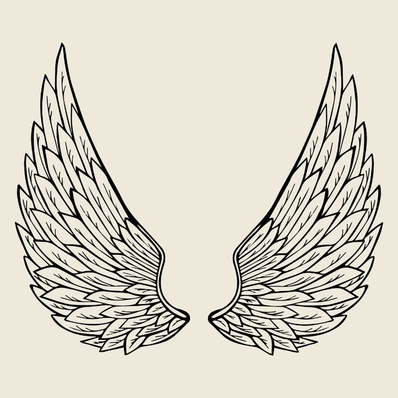 ailes d'anges