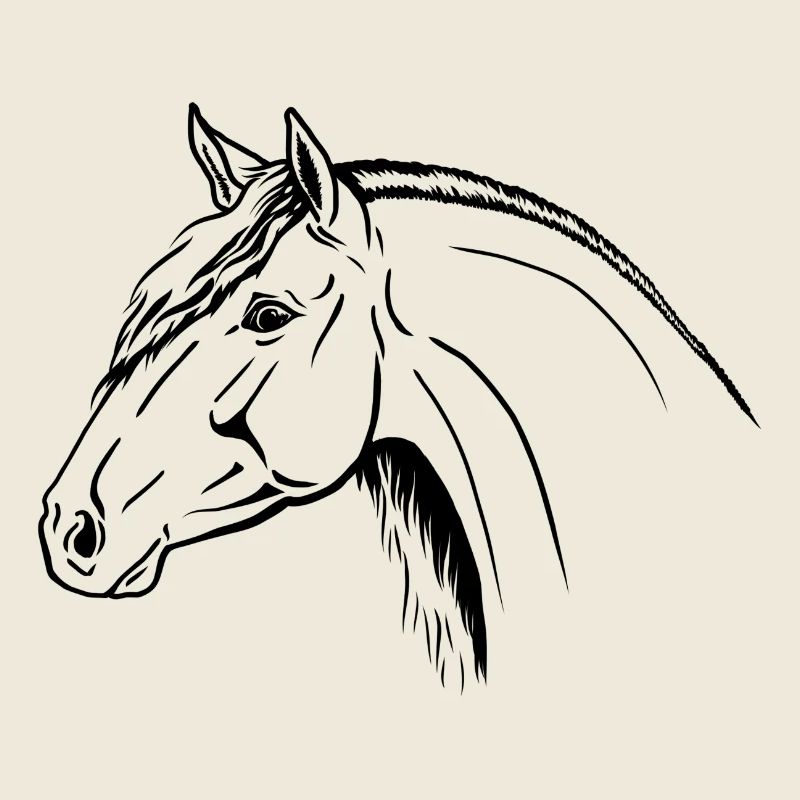 Spanischer Hengst Portrait