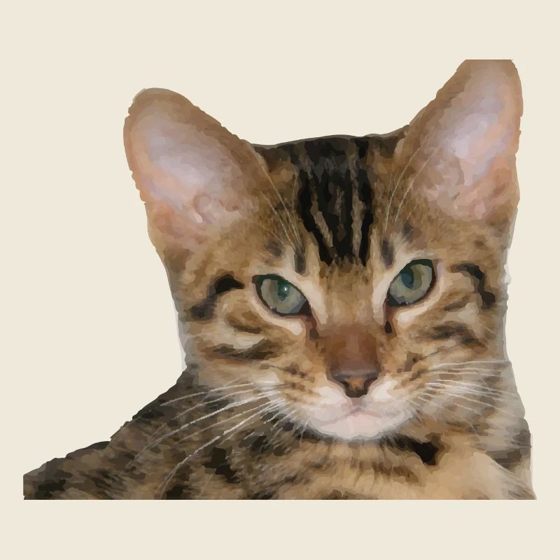 J’aime mon chat guépard