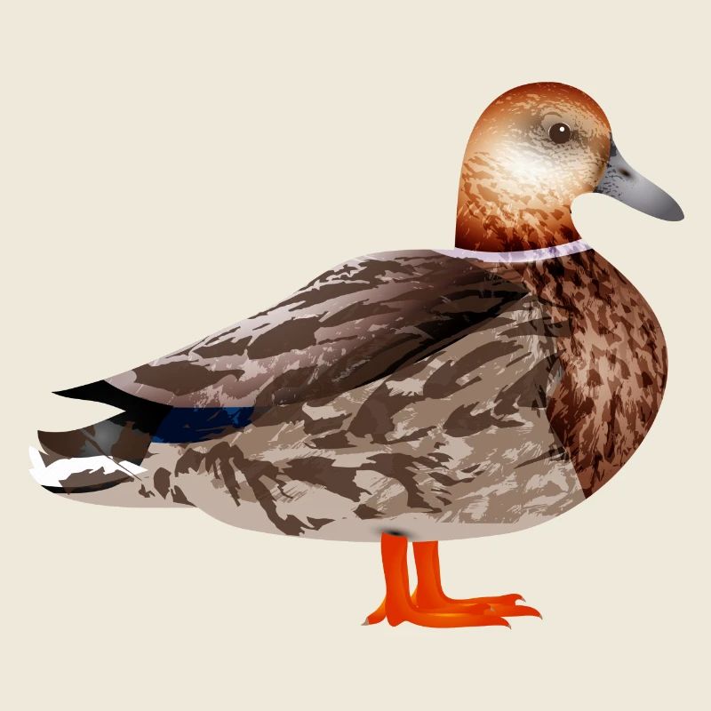 drawn female duck colored & collaged
