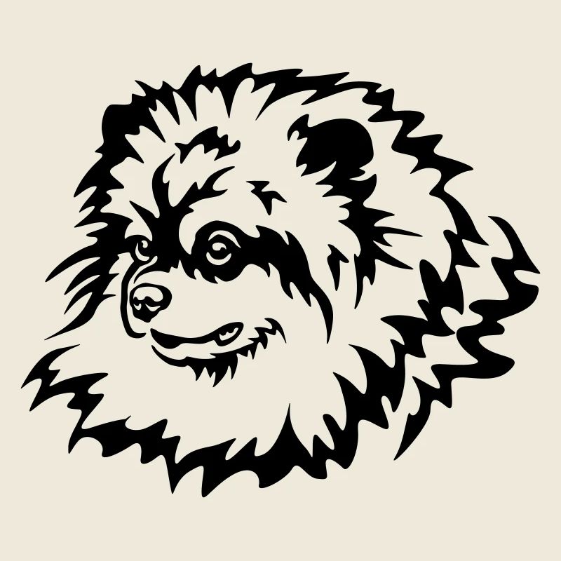 Tête de Spitz miniature