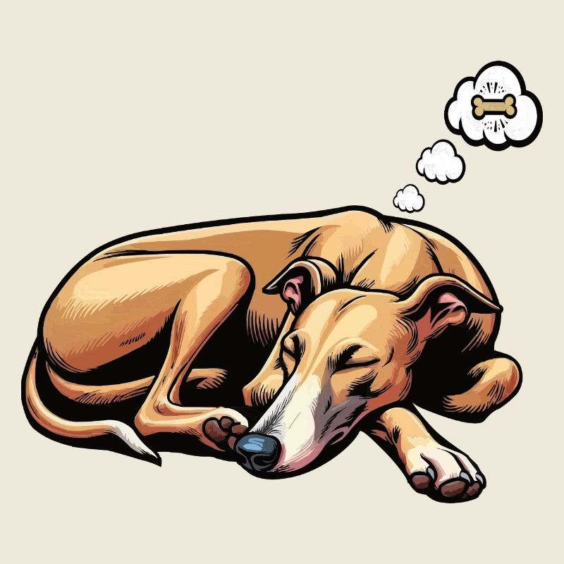 Whippet Greyhound Whippets Propriétaire de lévrier