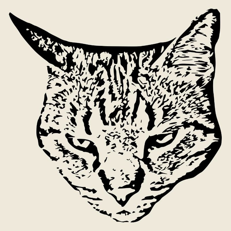 Chat Tête de chat noir
