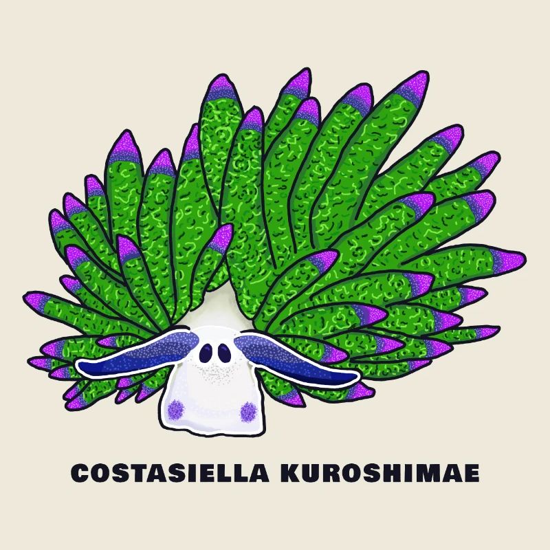 Leaf Sheep Snail, Drawing