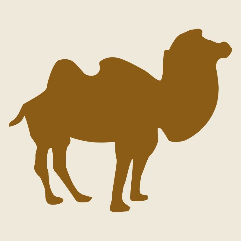 Camel