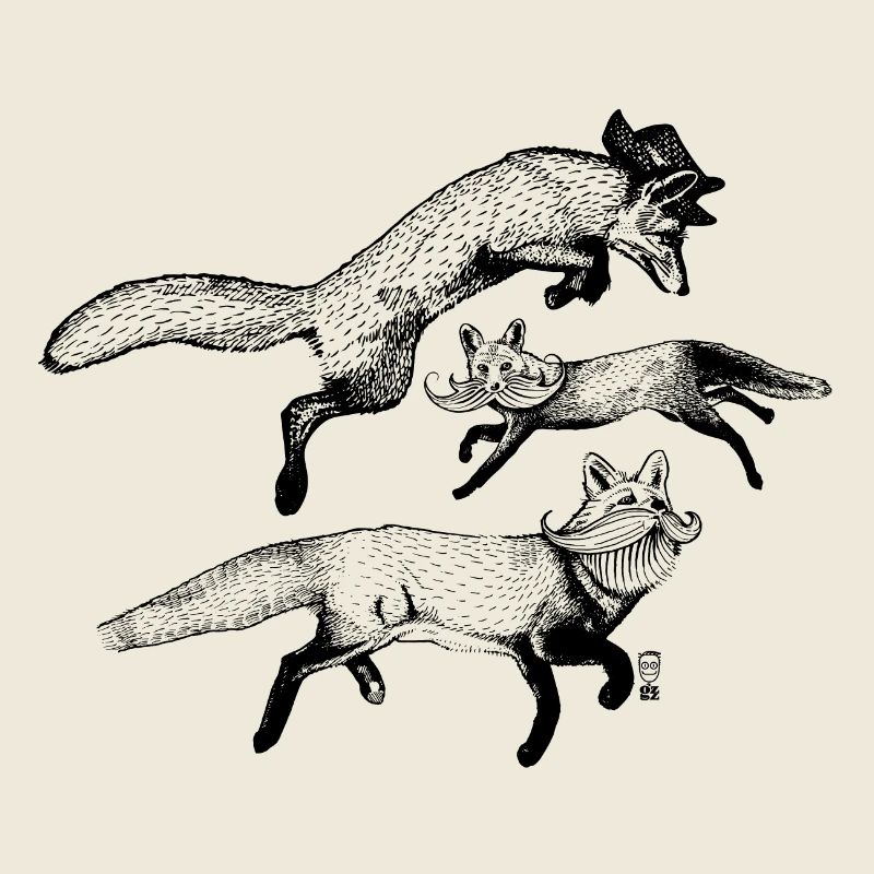 The 3 Foxes