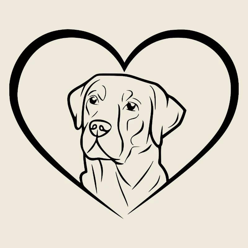 Labrador Retriever Drawing