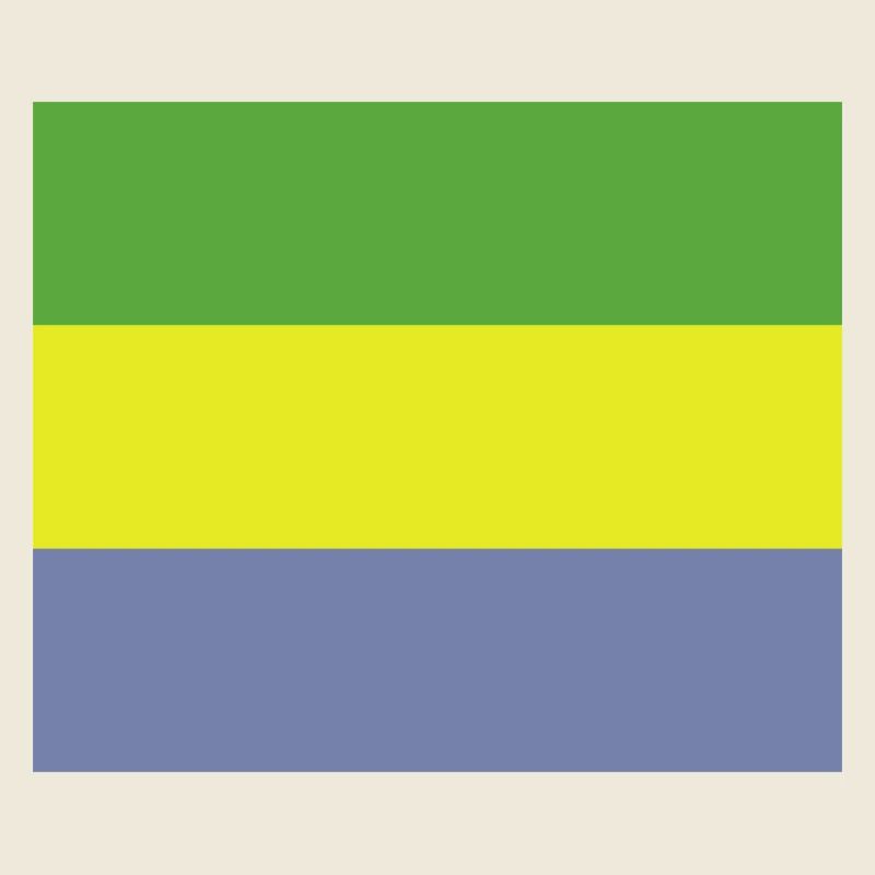 Drapeau gabonais