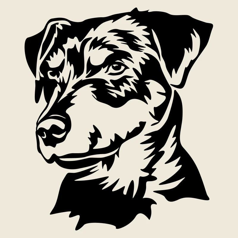 Deutscher Jagdterrier Kopf