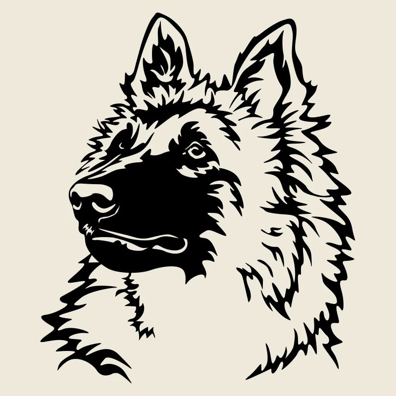 Tête tervuren