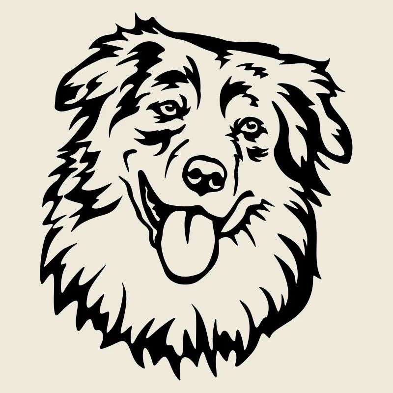 Australian Shepherd Head