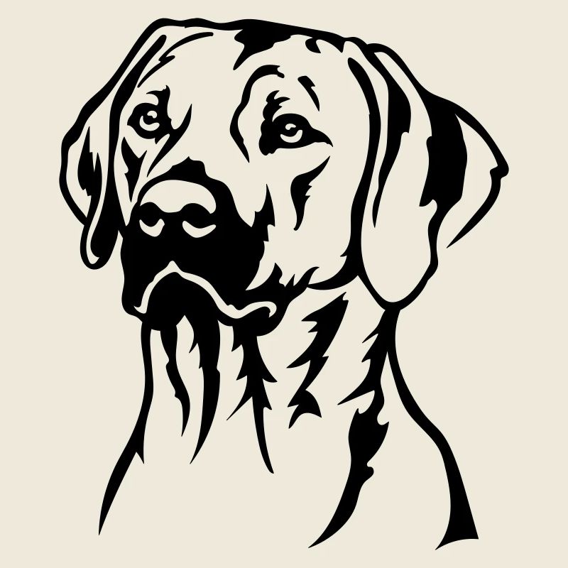 Rhodesian Ridgeback Kopf