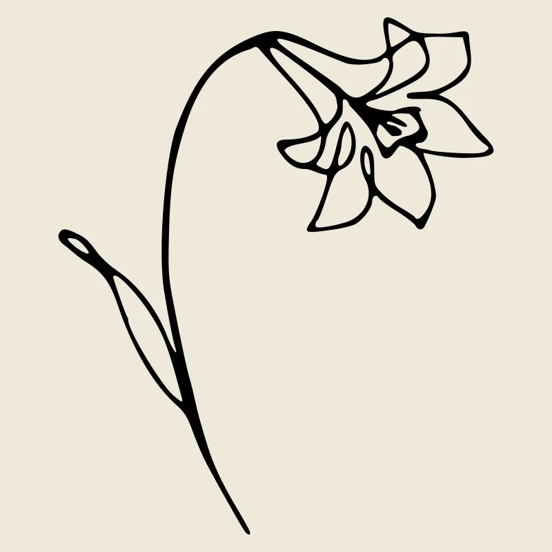 narcisse