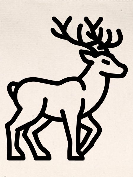 Karibu