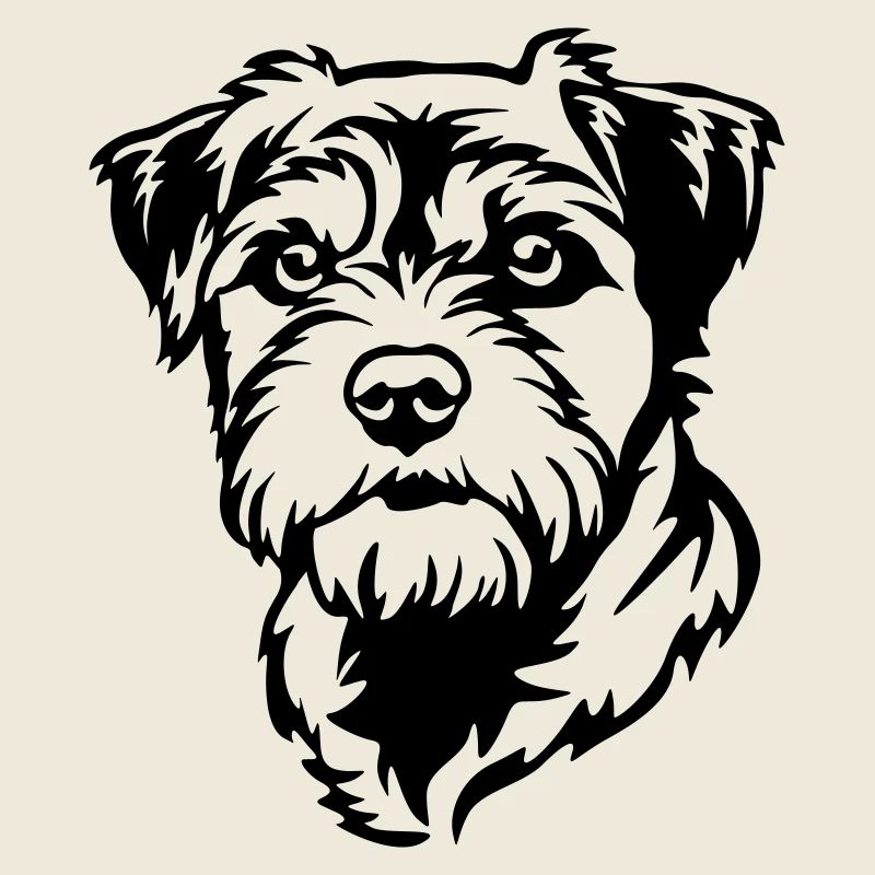 Border Terrier Head
