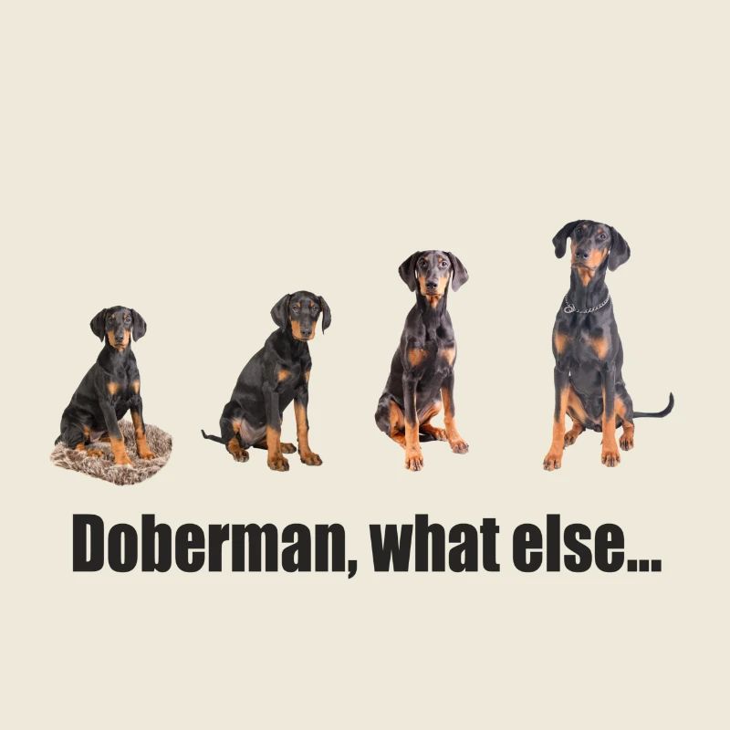 Doberman, what else...
