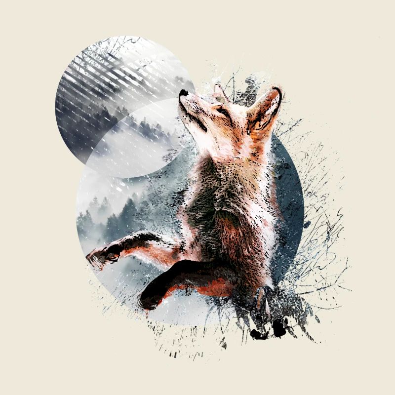 Fox in the moonlight