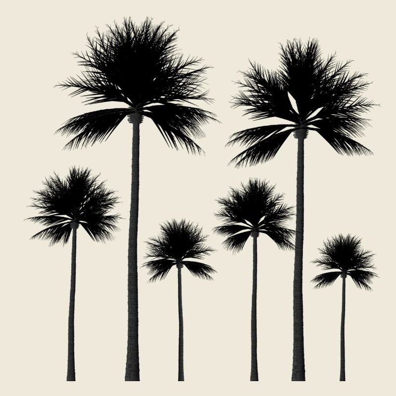 Palmen Silhouette Sommer Geschenk