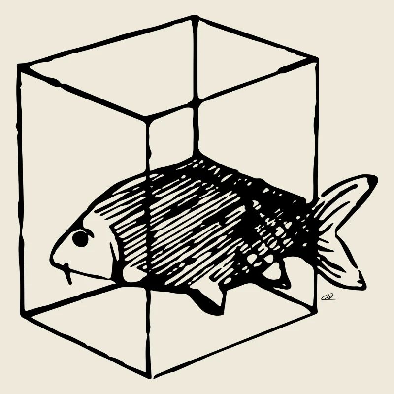 Poisson dans la boîte boîte noir