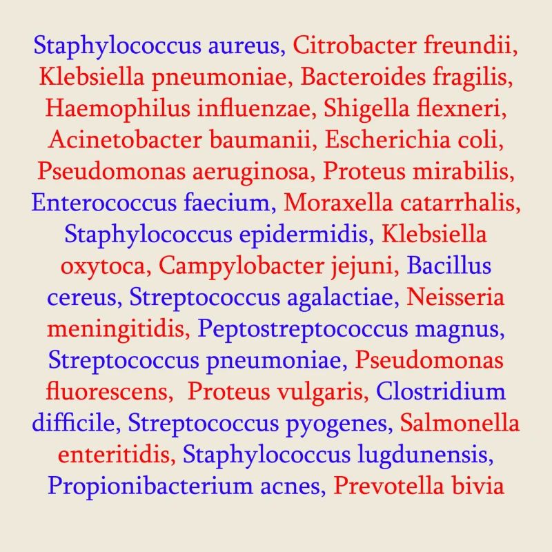 Liste des bactéries
