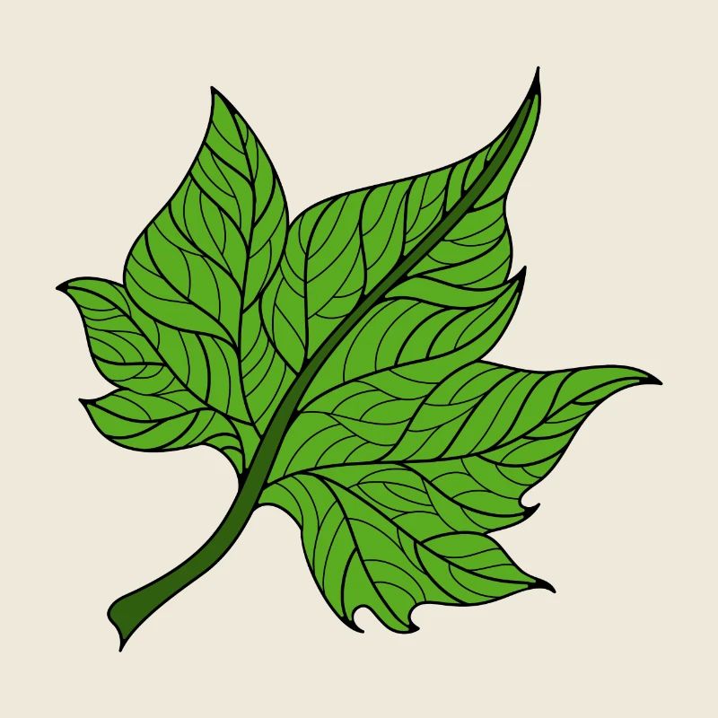 green leaf
