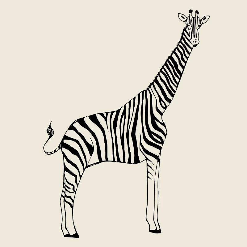 zebra giraffe
