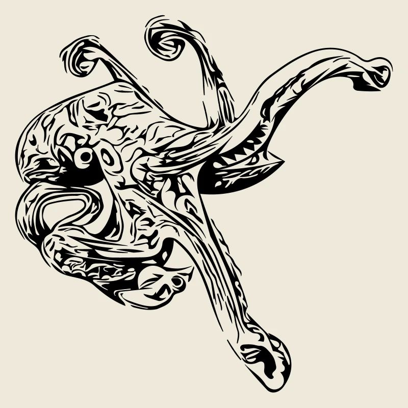 Octopus Octopus octopus squid