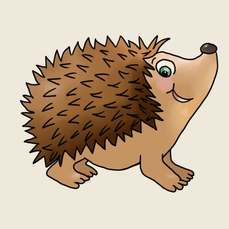 Friendly hedgehog
