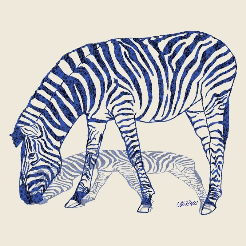 Zebra with zebra shadow