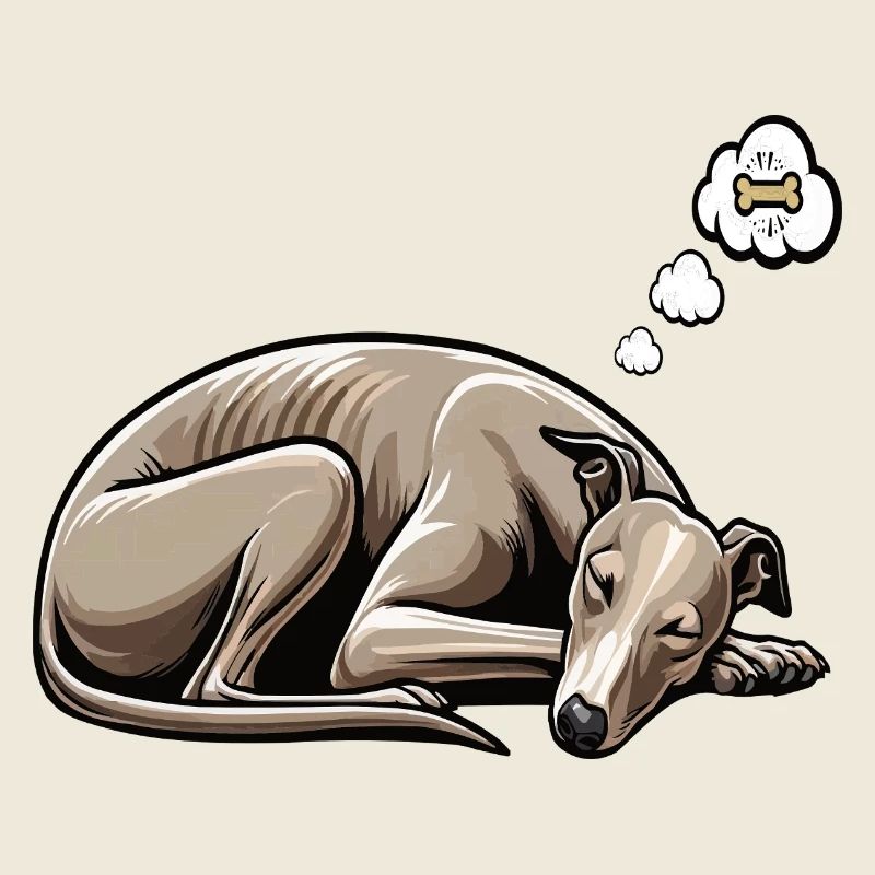 Whippet Greyhound Whippets Greyhound Owner