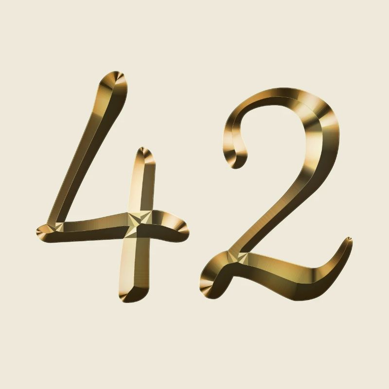 42 ans 42 ans or 42e anniversaire cadeau