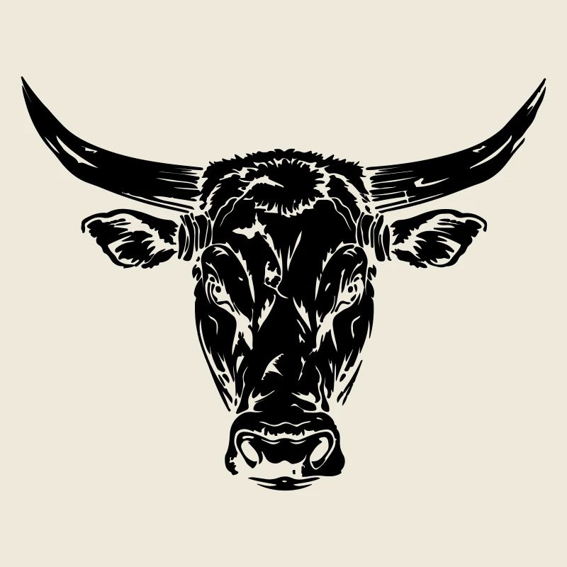 Stier