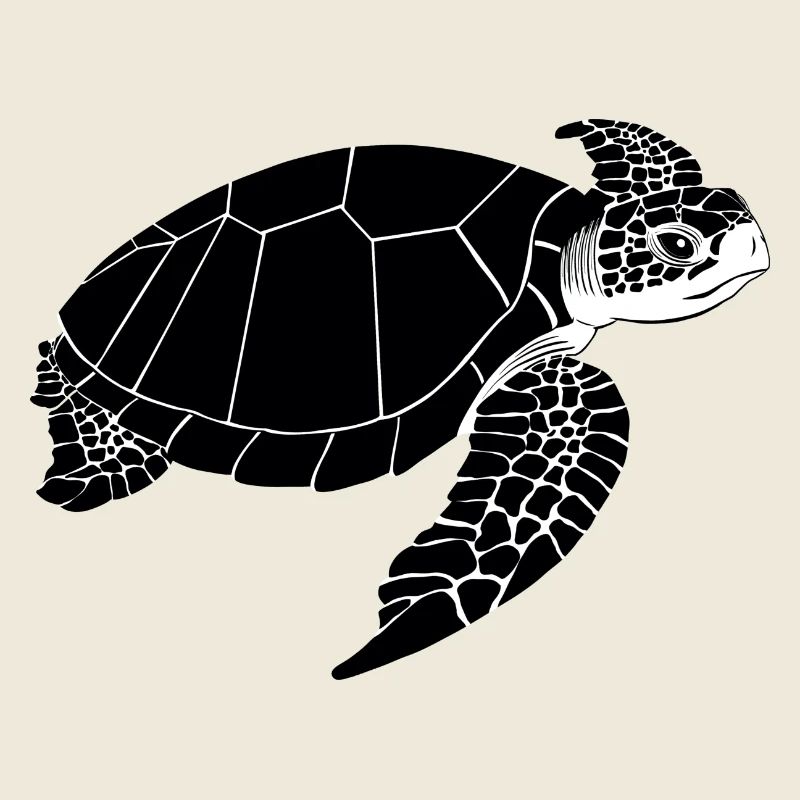 Turtle Black & White
